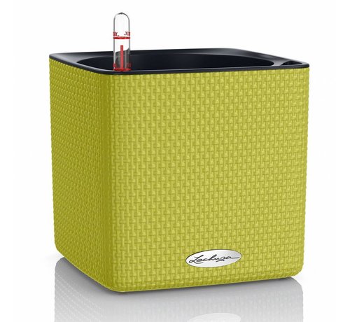 Lechuza Cube Color 16 Limoengroen ALL-IN-ONE