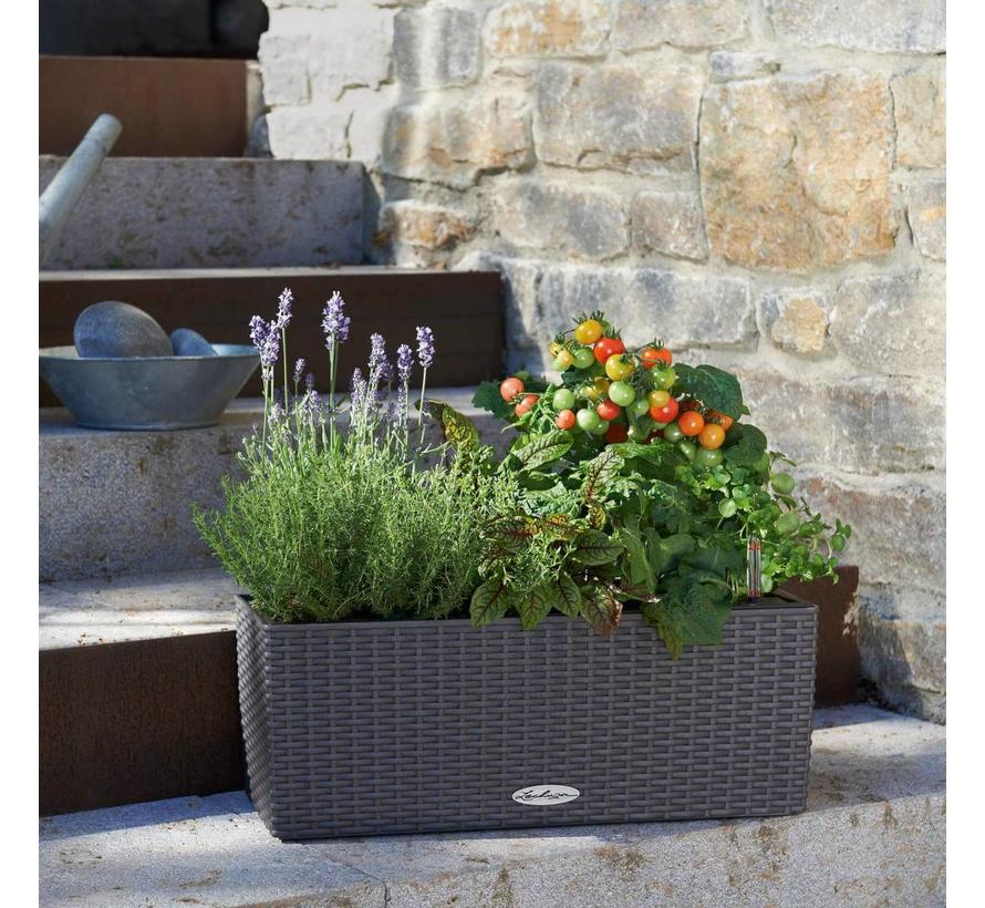 Lechuza -  planteur BALCONERA COTTAGE 50 granit ALL-IN-ONE set