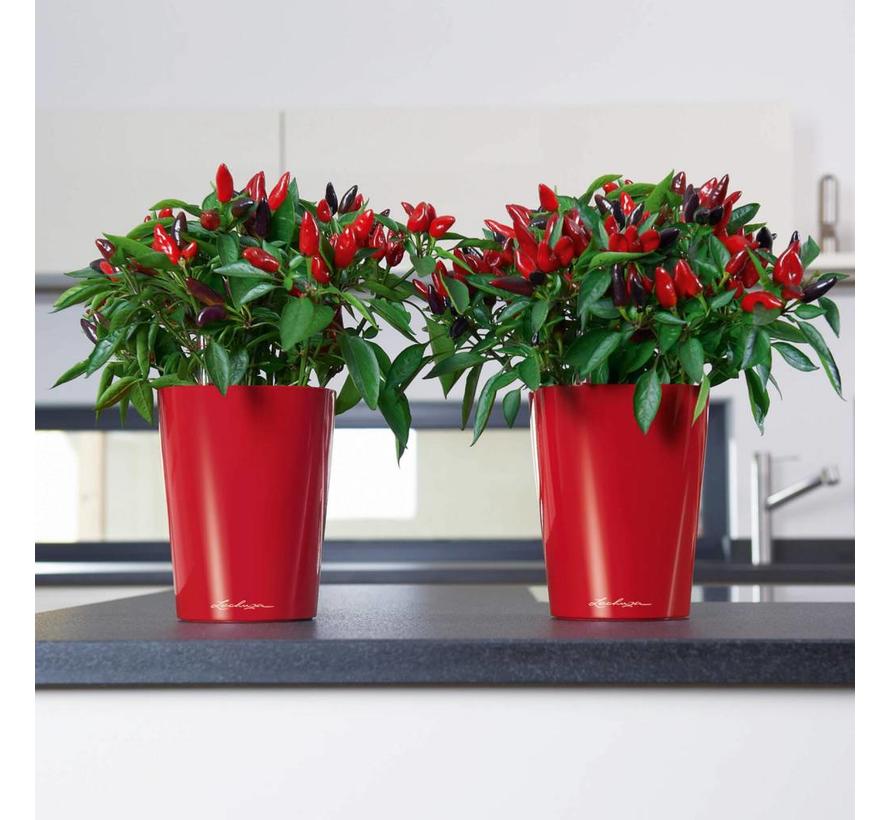 Lechuza- Deltini scharlakenrood hoogglans ALL-IN-ONE