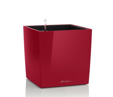 Lechuza Lechuza- CUBE Premium 50 scarlet red glossy