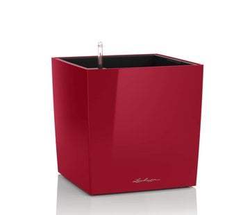 Lechuza Lechuza- CUBE Premium 50 scharlakenrood hoogglans ALL-IN-ONE