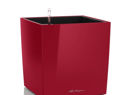 Lechuza Lechuza- CUBE Premium 50 scarlet red glossy