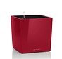 Lechuza- CUBE Premium 50 scarlet red glossy