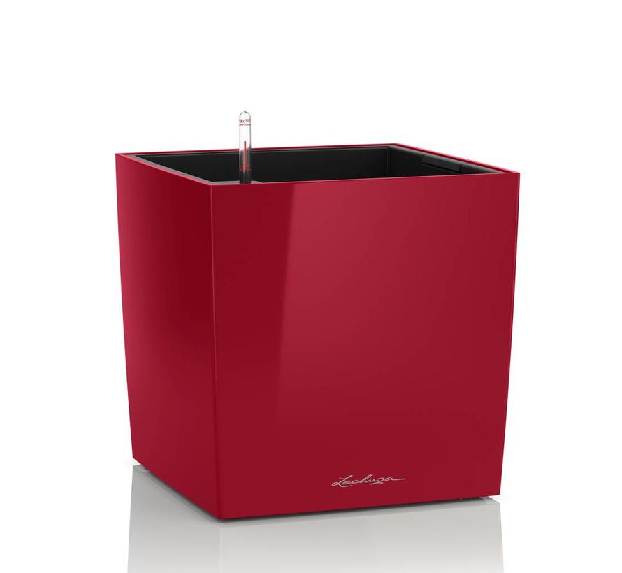 Lechuza- CUBE Premium 50 scarlet red glossy