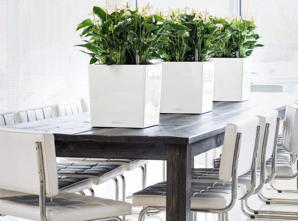 Lechuza Lechuza- CUBE Premium 30 white glossy