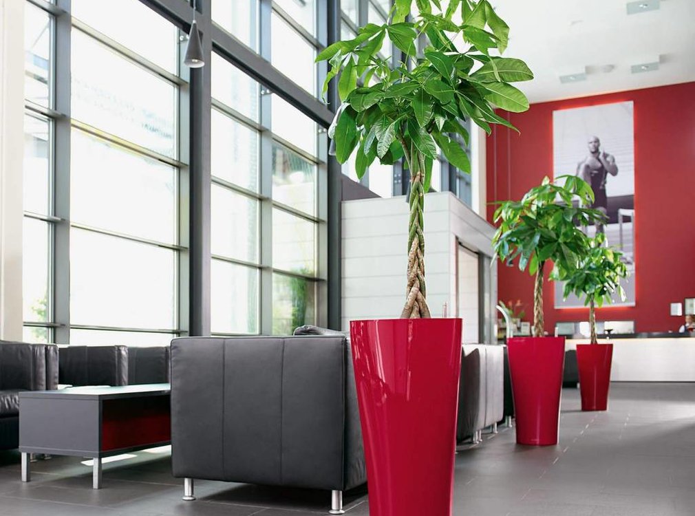 Lechuza Lechuza - Delta Premium 40 scarlet red high-gloss ALL-IN-ONE