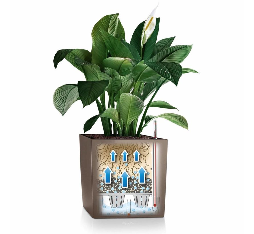 Cube Premium 40 Taupe hoogglans ALL-IN-ONE