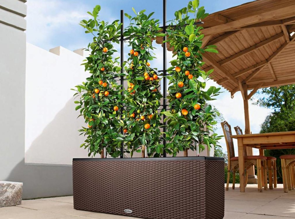 Lechuza Lechuza - Pflanzgefäß TRIO COTTAGE 30 mokka ALL-IN-ONE Set