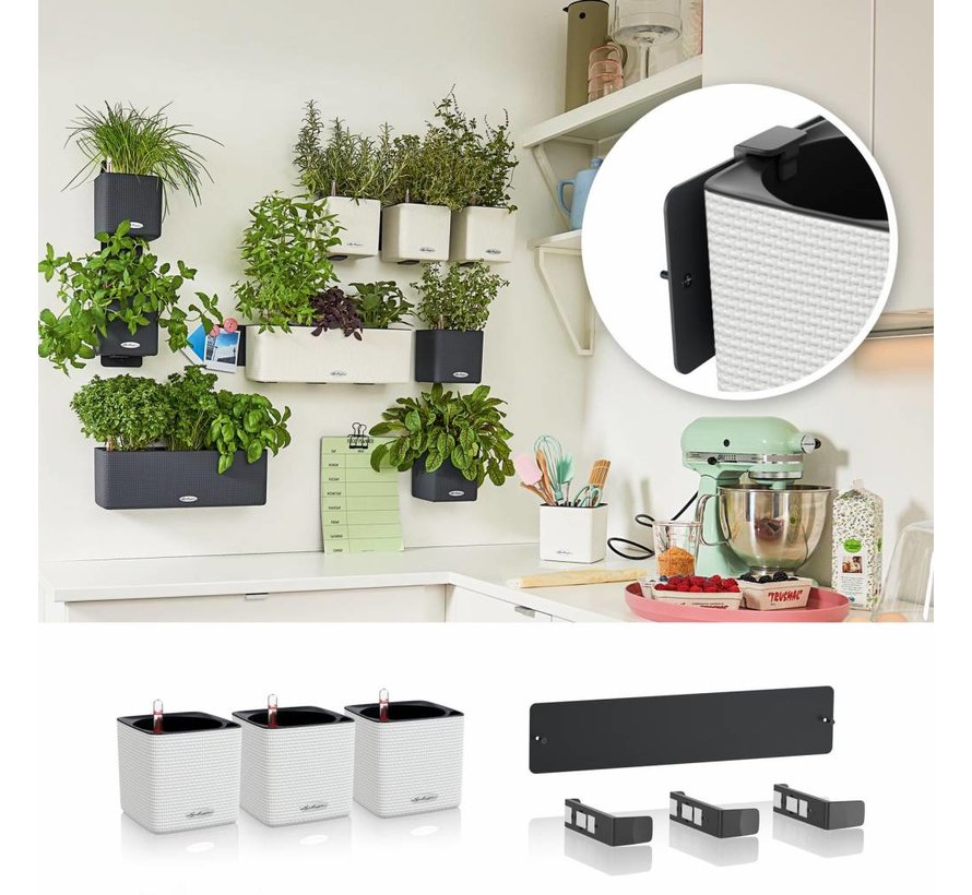 Lechuza - plantenbak CUBE COLOR Green Wall Home Kit wit ALL-IN-ONE set