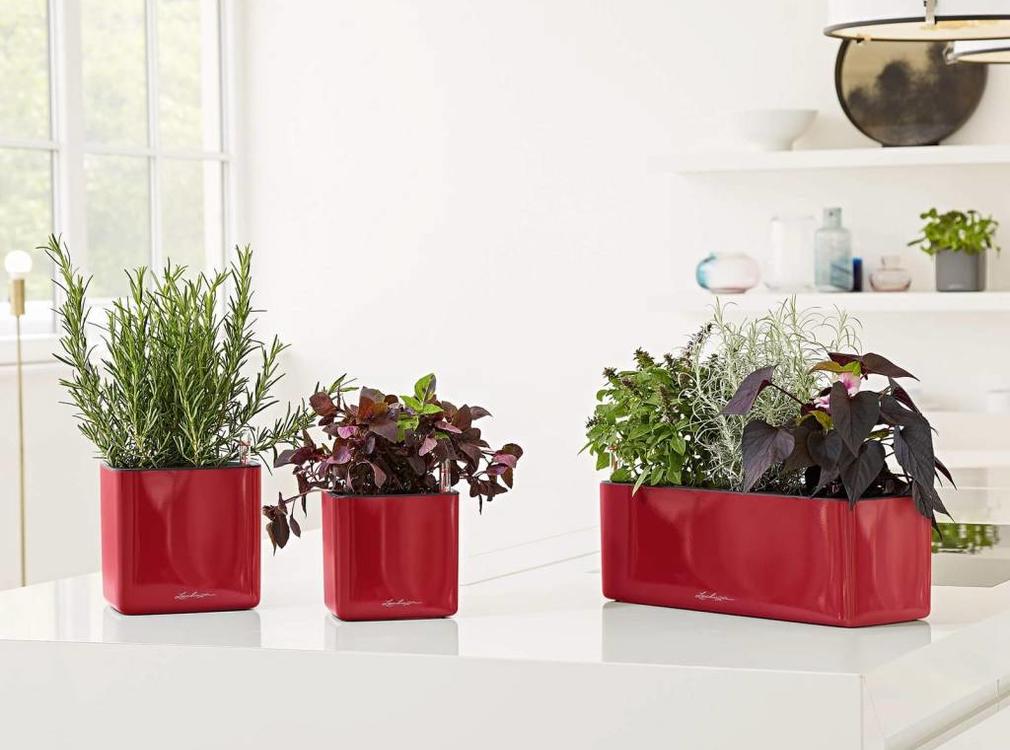 Lechuza Lechuza - CUBE GLOSSY 16 Scharlakenrood hoogglans ALL-IN-ONE LEC13522 4008789135223