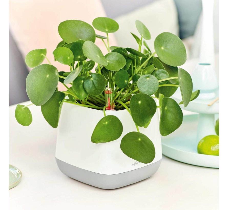 Lechuza - YULA plantenpot white/gray semi-gloss  ALL-IN-ONE