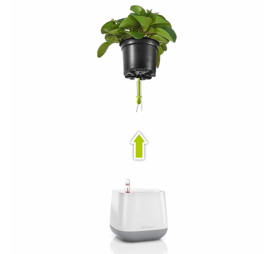 Lechuza - YULA plantenpot satijnwit/grijs ALL-IN-ONE