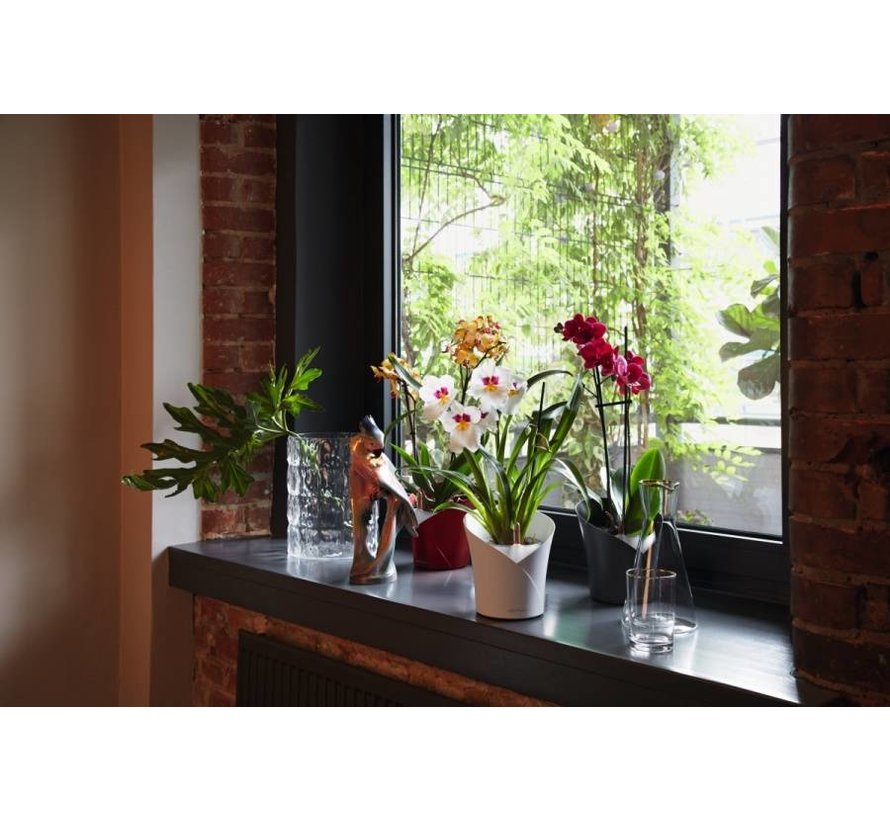 Orchidea Leisteengrijs Mat All-in-One Lechuza