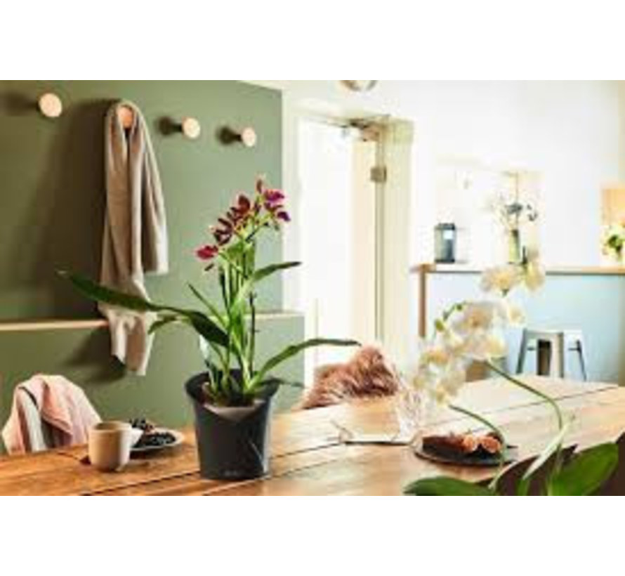 Orchidea Leisteengrijs Mat All-in-One Lechuza