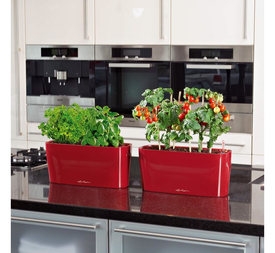 Lechuza- Delta 10 Table planters scarlet red glossy