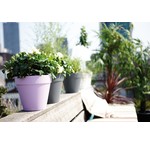 Plantenbakken - UITVERKOOP -