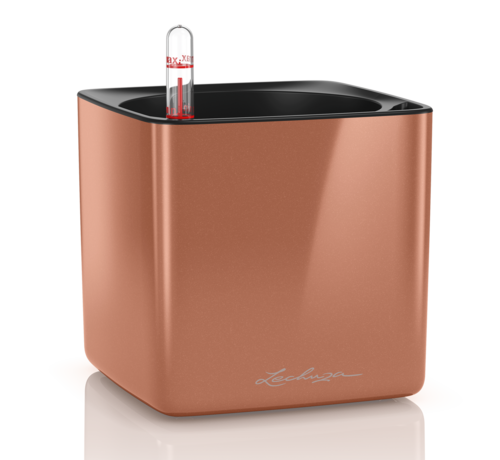 Lechuza Lechuza - CUBE GLOSSY 14 spicy copper highgloss ALL-IN-ONE - WINTEREDITION -