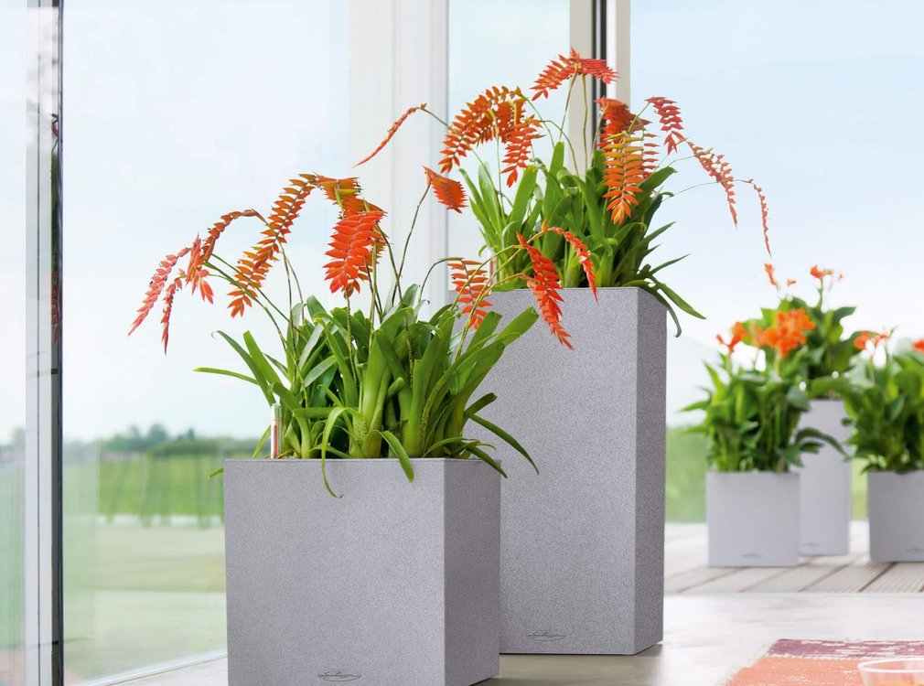 Lechuza Lechuza - plantenbak CANTO STONE High 40 steengrijs ALL-IN-ONE set
