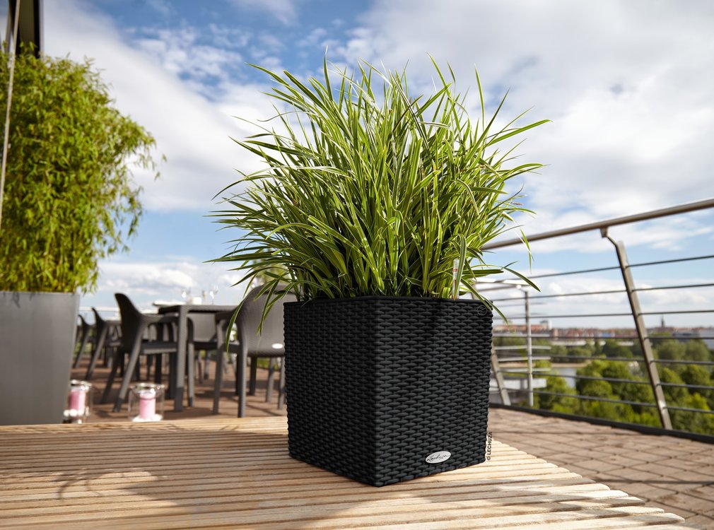 Lechuza Lechuza - plantenbak CUBE COTTAGE 30 grafietzwart ALL-IN-ONE set