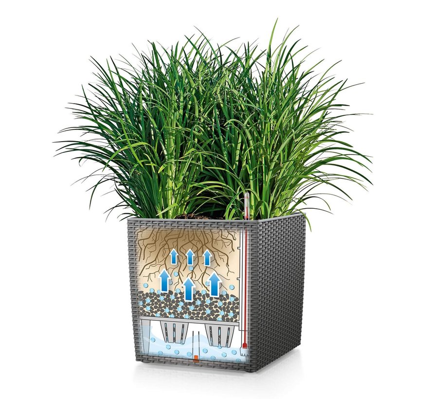 Lechuza - plantenbak CUBE COTTAGE 40 grafietzwart ALL-IN-ONE set