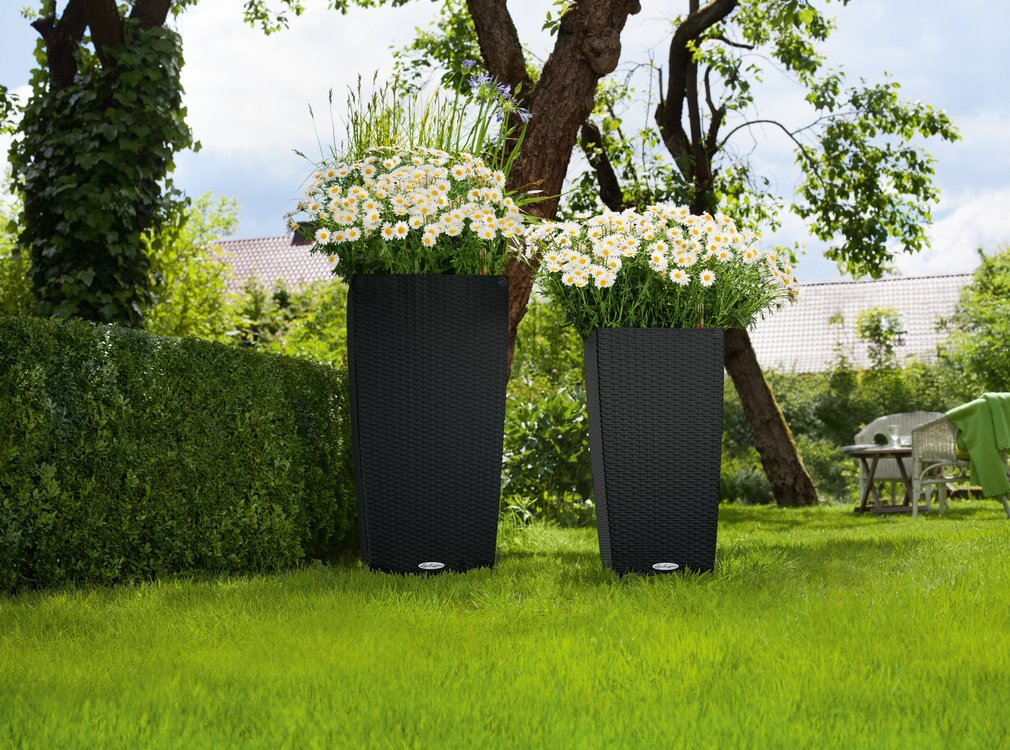 Lechuza Lechuza - planteur CUBICO COTTAGE 30 graphite noir ALL-IN-ONE set