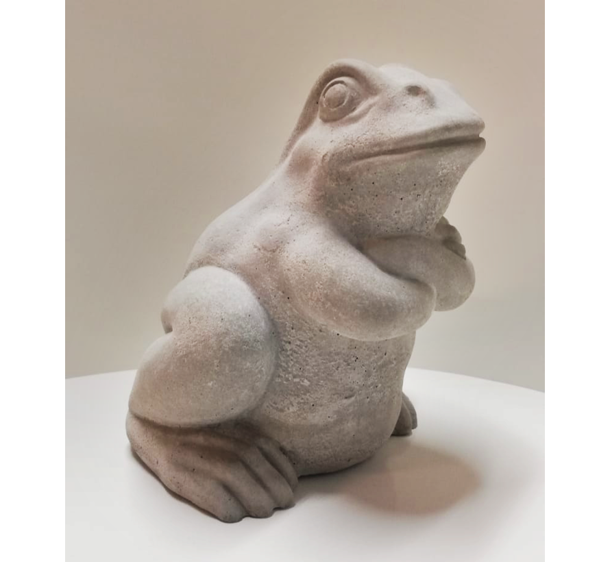 Grenouille arrogante - Statue de jardin - Pierre - 18 cm de haut