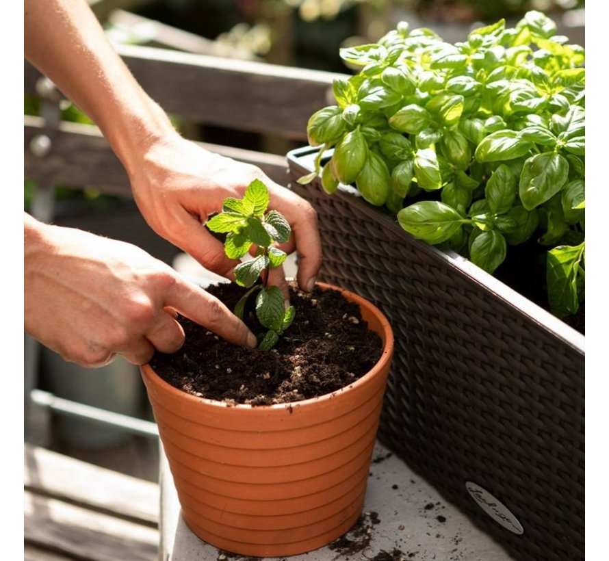 LECHUZA VEGGIEPON 6 litres - substrat végétal pour légumes - 100% vegan et sans tourbe