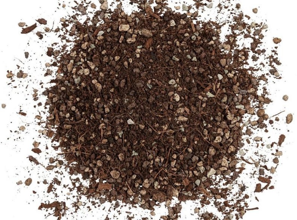 Lechuza LECHUZA VEGGIEPON 6 Liter - Gemüsesubstrat für Gemüse - 100% vegan und torffrei
