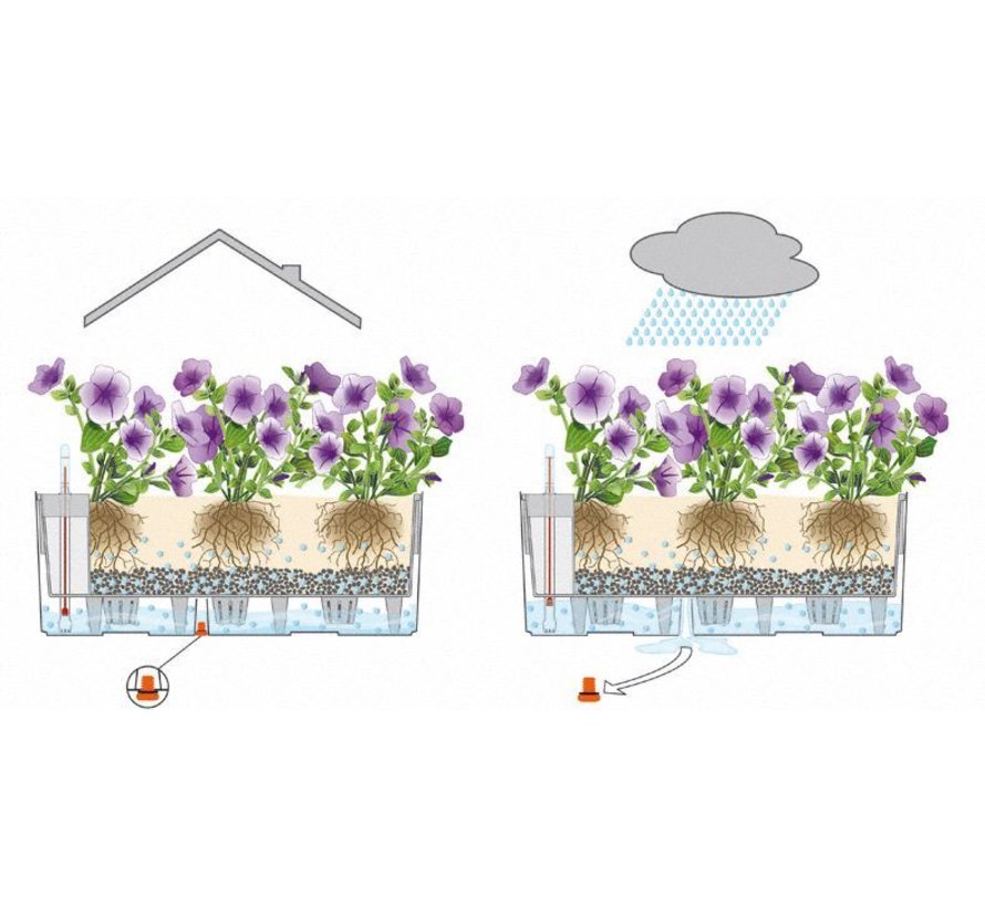 Lechuza - plantenbak BALCONERA COTTAGE 50 zandbruin ALL-IN-ONE set