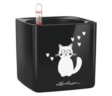 Lechuza Lechuza - CUBE GLOSSY CAT 14 noir ALL-IN-ONE LEC13508 4008789135087