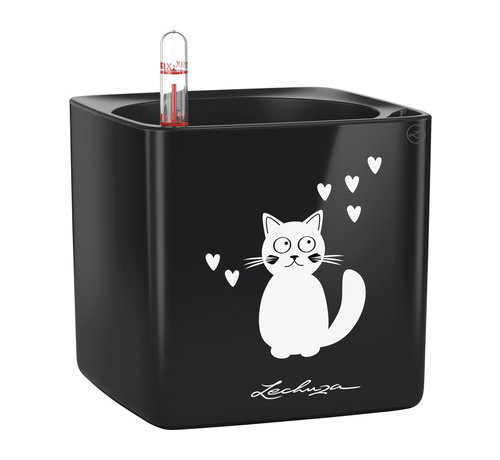 Lechuza Lechuza - CUBE GLOSSY CAT 14 noir ALL-IN-ONE LEC13508 4008789135087