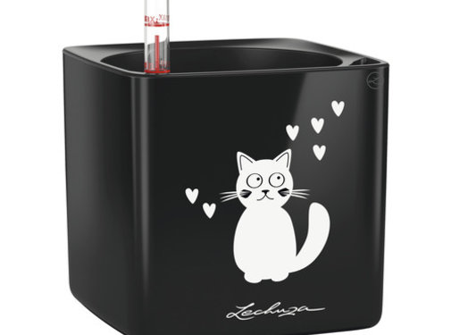 Lechuza Lechuza - CUBE GLOSSY CAT 14 schwarz ALL-IN-ONE LEC13508 4008789135087