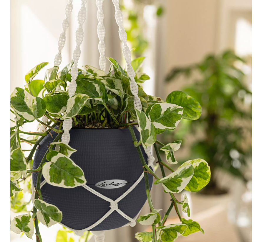 Lechuza - Macramé plantenhanger BOHO 90 Wit