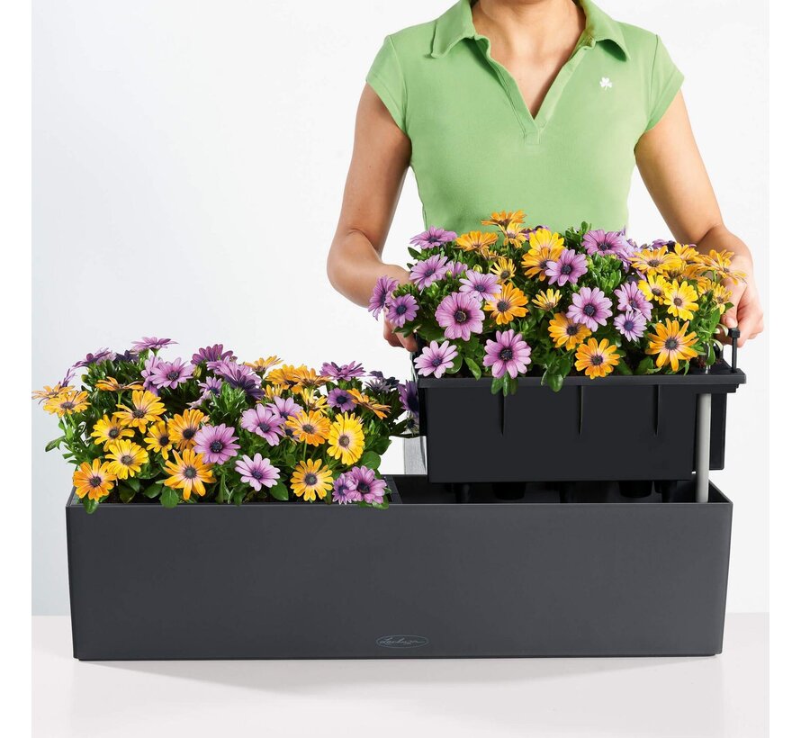 Lechuza - plantenbak BALCONERA COLOR 80 linde ALL-IN-ONE set