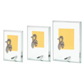 Glasstandaard wielrennen