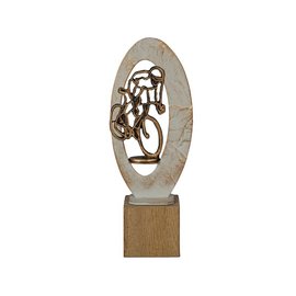 BEH 560 Trofee wielrennen op hout