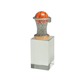 W401 Glasblok basketbal