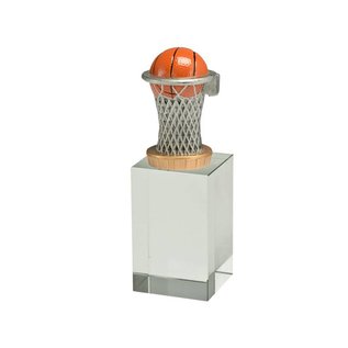 W401 Glasblok basketbal