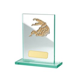 Glazen standaard  judo