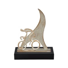 Standaard wielrennen