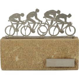 standaard wielrennen op steen