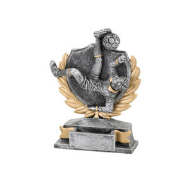 FG156 voetbalstandaard