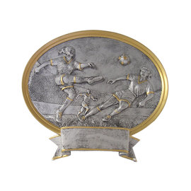 912 Schild damesvoetbal groot