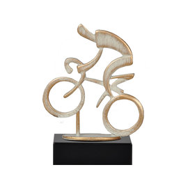 TBEL461 wielrennen berg