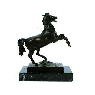 Bronzen Paard 60030