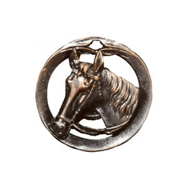 Medaille paard