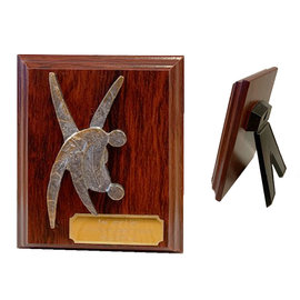 Judostandaardje H120