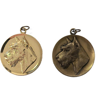 Medaille hond