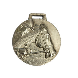 Medaille paard