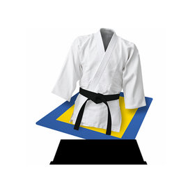 judo standaard